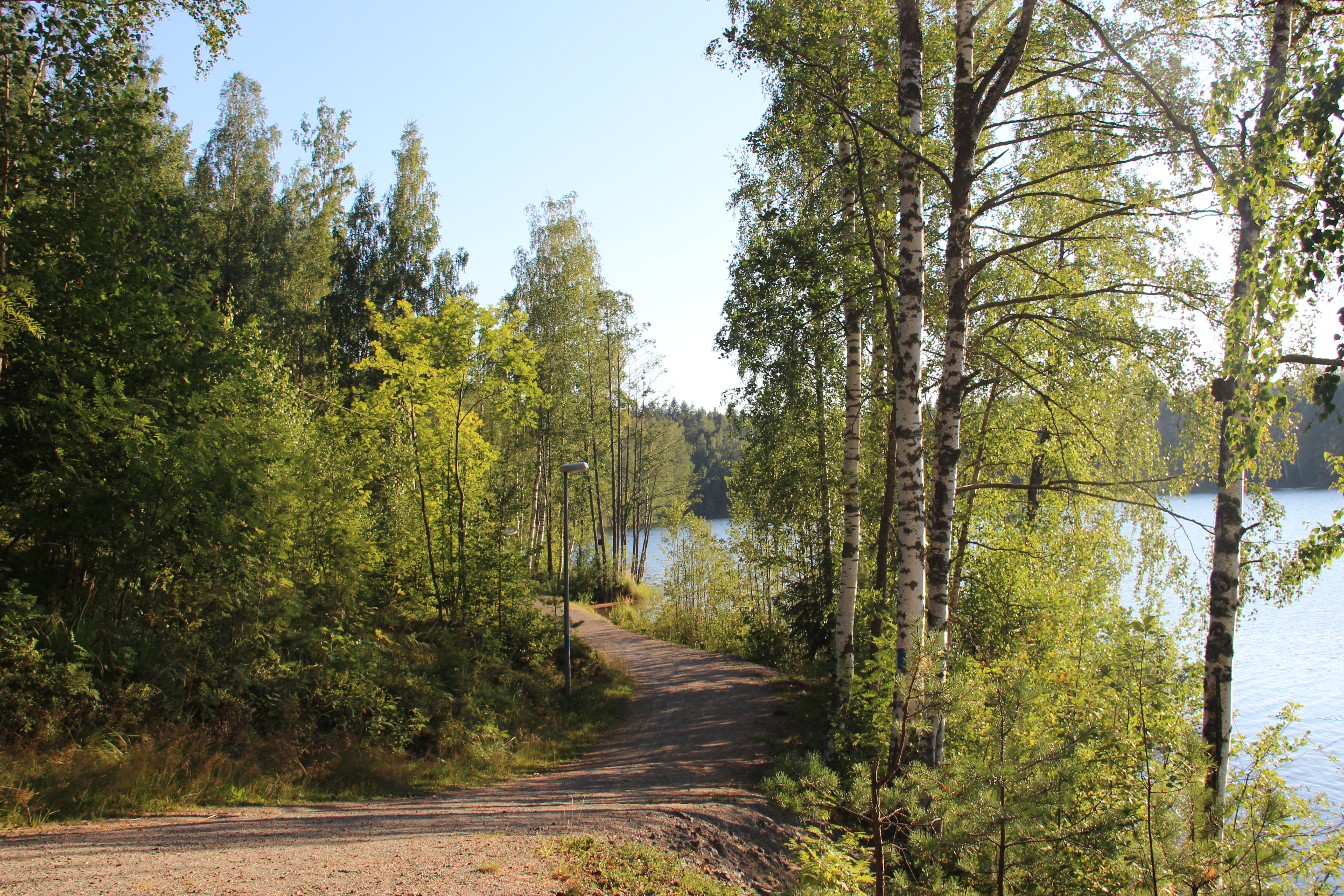 Kuva rantapolusta Joutsenon Ahvenlammelta.